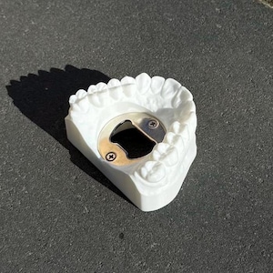 Realistic Tooth Model - Bottle Opener - Gift for Dental Technicians - Dentist - Dental Assistant - Medical Students - 3D Printing - Dentist