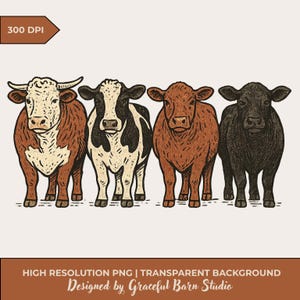 May include: An illustration of four cows in a row, each with a different color pattern. The cows are brown, black, and white. The image includes the text "300 DPI", "HIGH RESOLUTION PNG | TRANSPARENT BACKGROUND" and "Designed by Graceful Barn Studio".