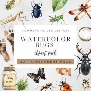 Clipart-pakket aquarel bugs avontuur | Insecten in de achtertuin | PNG-clipart | Voor commercieel gebruik |  Op de natuur geïnspireerde clipart