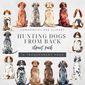 Clipart chien à l'arrière | Races de chiens de chasse | Pour usage commercial | 16 PNG | Amoureux des chiens | Aquarelle de chiens PNG | Chiens assis à l'arrière
