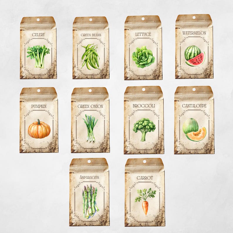 Vintage Seed Packet Clipart | PNG Clipart | Gardening Clipart ...