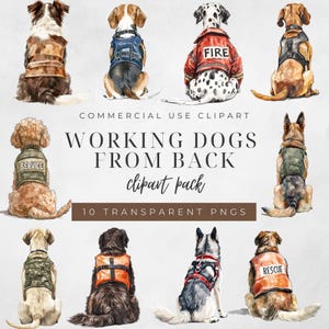 Clipart chien à l'arrière | Races de chiens de travail avec gilet | Pour usage commercial | 10 PNG | Amoureux des chiens | Aquarelle de chiens PNG | Chiens assis à l'arrière