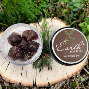 Può includere: Un set di sette dadi mini marroni e dorati in un contenitore di plastica trasparente. Il contenitore è etichettato "Earth Magic Mini Dice Set".