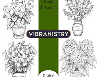 以下が含まれることがあります： 鉢植えの植物の白黒線画12点セット。植物には、アジサイ、ベゴニア、ユーカリが含まれています。画像の上部には「12 beautiful plants in pots」と「VIBRANISTRY」のテキストがあります。画像の下部には「Digital Download」のテキストがあります。