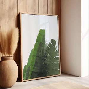 Stampa foglie di banano, arte murale verde, stampa pianta tropicale, poster foglie, arte murale foglia di banano, poster pianta, stampa palma, foglie esotiche