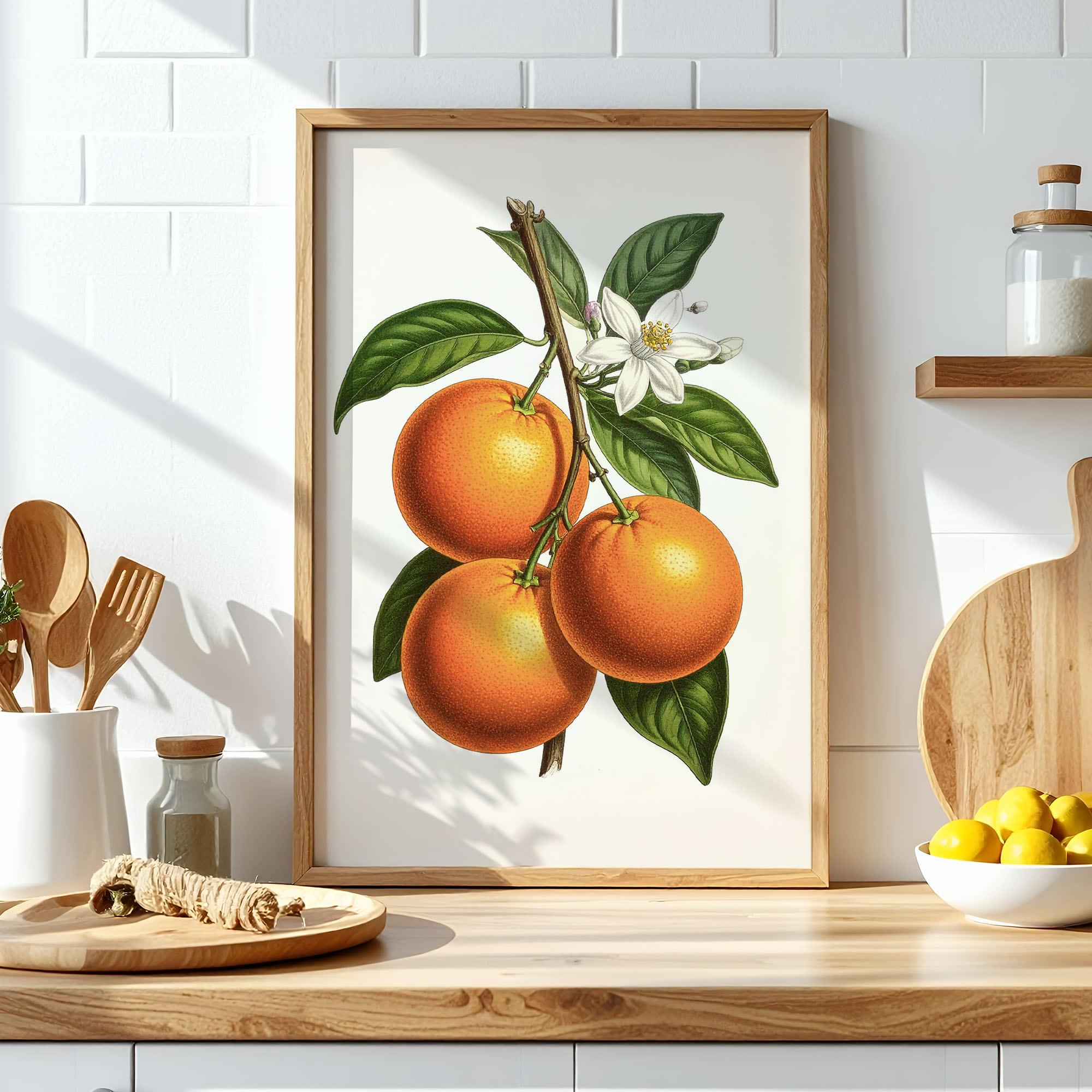 オレンジのウォールアート、ヴィンテージの柑橘類の植物プリント