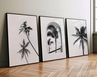 May include: Three framed black and white palm tree prints leaning against a wall. The prints feature detailed images of palm trees, with one showing a view through an archway. The frames are black and the background is white.