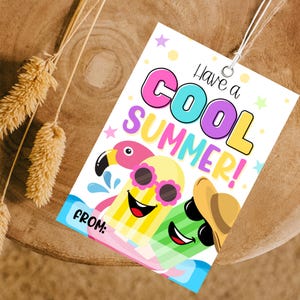 May include: A white gift tag with the text "Have a COOL SUMMER!" in colorful bubble letters. The tag features cartoon illustrations of a flamingo, ice pops, and a sun hat. A string is attached for hanging.