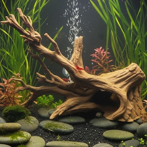 May include: An underwater aquarium scene with a large piece of driftwood. The tank features green aquatic plants, red plants, and rounded stones. Bubbles rise from an air stone, and the substrate is dark.