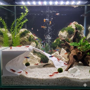 May include: A vibrant aquarium scene with colorful fish and red shrimp. The tank features live plants, decorative rocks, and a white sand substrate. Bubbles rise from an air stone, creating movement in the water.