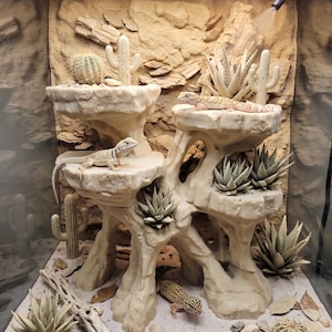 May include: A reptile terrarium with a desert theme, featuring a beige rock structure, artificial cacti, and several lizards. The terrarium has a sand substrate, decorative plants, and a misting system. The lighting is provided by LED lights.