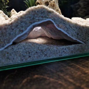 May include: A beige aquarium ornament shaped like an archway or cave. The structure is made of a sandy material, with a white interior visible through the opening. The base of the decoration sits on sand, with a green glass edge visible.