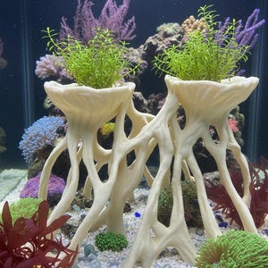 Peut inclure: Deux décorations d'aquarium en forme de corail blanc cassé avec des plantes vertes sur le dessus. Les décorations ont une structure ramifiée unique. L'aquarium présente également des coraux colorés, des plantes et des pierres décoratives.