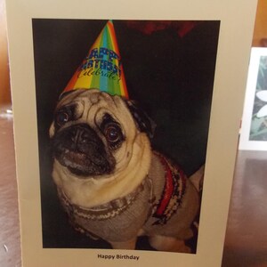 Pug birthday card, printable birthday card
