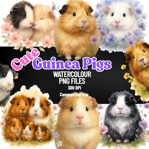 Cute GUINEA PIG Clipart Bundle - 15 High Quality PNGs - Digital Downloads - Commercial Use, Watercolor, Mixed Media, Digital Paper Craft Art