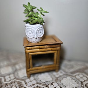 May include: A small, decorative wooden table with a white owl-shaped planter holding a green succulent plant. The table is made of bamboo and sits on a lace tablecloth. The owl planter adds a whimsical touch.