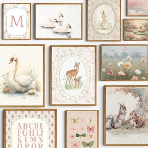 May include: A collection of framed art prints featuring watercolor illustrations. The prints depict various animals, including swans, ducks, deer, rabbits, and squirrels, along with floral and alphabet designs. The color palette includes soft pinks, greens, and browns.