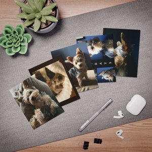 Morkie Grußkarten (5er-Pack)