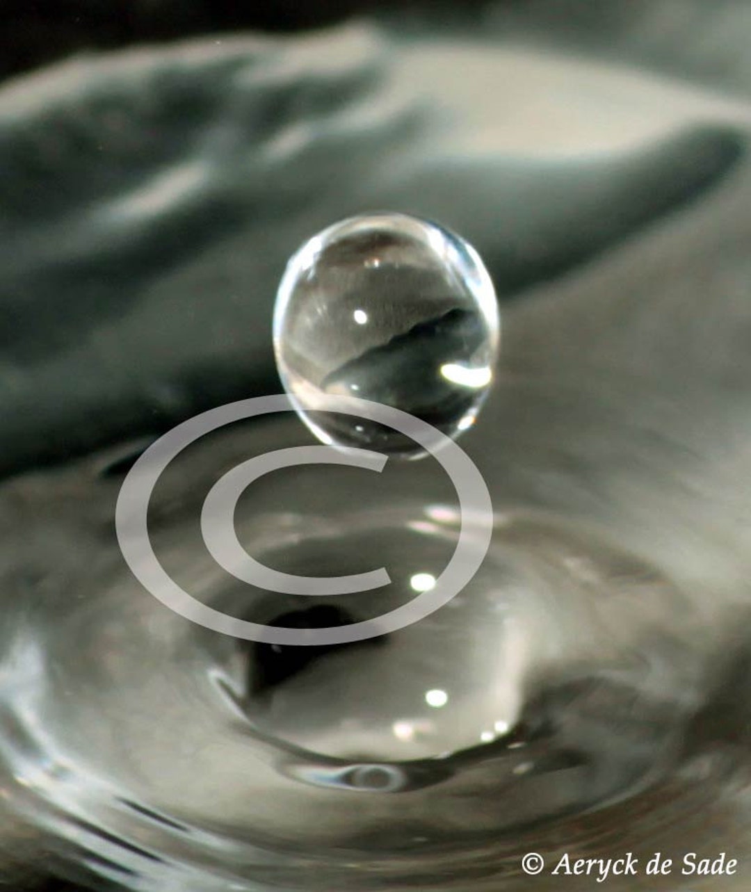 Water Droplet Close up Digital Download Photo Etsy
