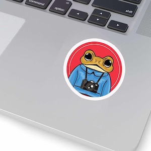 BAD DTMF Debi Tirar Mas Fotos Sticker Set | MáS FOToS Vinyl Decals | Perfect for Laptops, Water Bottles, Notebooks ,frog Bad Bunny sticker