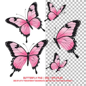 Borboleta PNG SVG EPS - Borboletas Clipart Digital Download, Arte para impressão, Download instantâneo, Ilustração da natureza, Gráficos de scrapbooking
