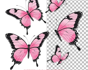 Imágenes prediseñadas de mariposa rosa: Ilustración gráfica de la naturaleza (descarga digital PNG, SVG, EPS)