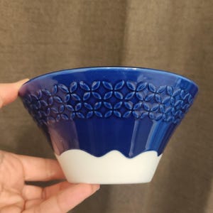Pu&ograve; includere: Una ciotola in ceramica blu e bianca con un motivo decorativo attorno al bordo. La ciotola &egrave; leggermente svasata e ha un bordo bianco.