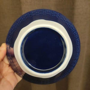 Pu&ograve; includere: Una ciotola in ceramica blu e bianca con un bordo decorativo. La ciotola &egrave; profonda e ha un interno bianco.