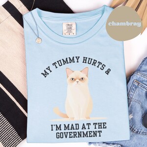 Comfort Colors Grumpy Cat T-shirt: Millennial Humor Tee