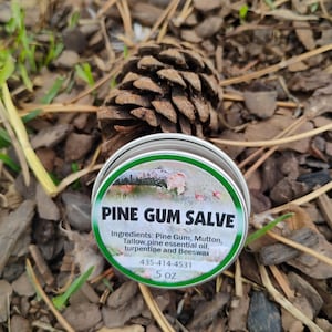 Pine Gum Salve, Organic and Chemical Free. Hand gathered and hand made, wonderful for any skin ailments.