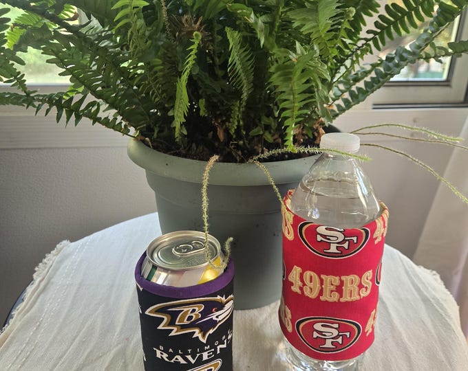 Insulated Can/Bottle Cozie