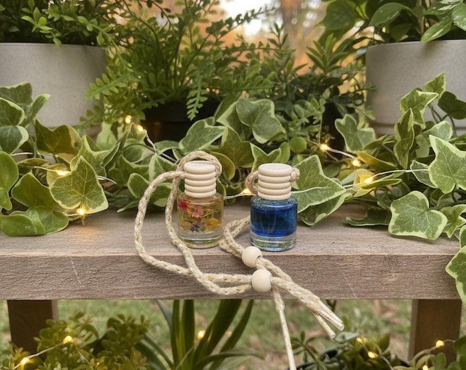 Scented car diffuser/hanging car air freshener