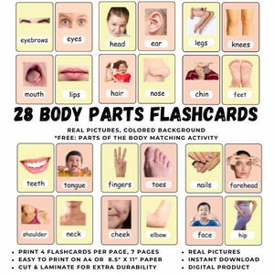28 HUMAN BODY PARTS Printable Digital Flashcards Real Pictures Montessori Pre-K Preschool Kindergarten Learning Activity Toddler Homeschool