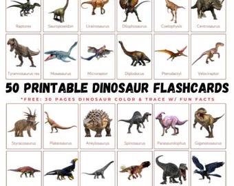 Printable Dinosaur Flashcards: Montessori Educational Cards (Digital Download)