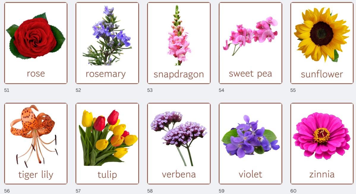 Flower Flashcards: A-Z Printable Montessori Cards (PDF) - Etsy