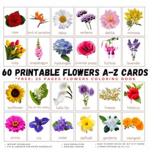 60 ESPÈCES DE FLEURS Cartes-éclair imprimables de A à Z Noms des fleurs Saison du printemps Cartes éducatives Montessori sur le thème de la nature Biologie pour enfants Images réelles