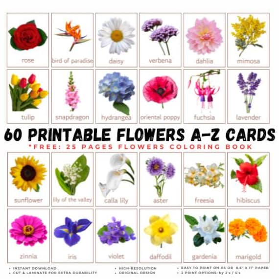 Flower Flashcards: A-Z Printable Montessori Cards (PDF) - Etsy