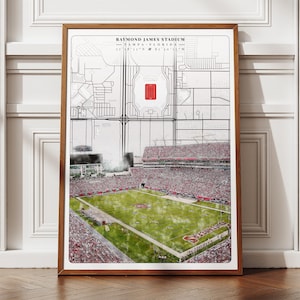 Raymond James Stadium Poster, Tampa Bay Buccaneers NFL Teams, Aesthetic Wall Decor, Florida Football Poster, Football Lover Gift Ideas
