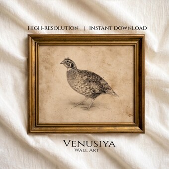Pheasant Vintage Bird Art, Autumn Wall Decor, Farmhouse PRINTABLE
