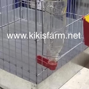 Może przedstawiać: Przezroczysta szklana butelka na wodę z czerwonym plastikowym wylewem jest przymocowana do drucianej klatki. Butelka jest zawieszona wewnątrz klatki, przeznaczona dla małych zwierząt. Adres strony internetowej www.kikisfarm.net jest wydrukowany na klatce.
