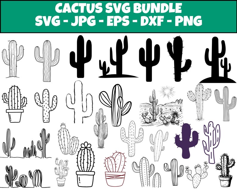 Cactus SVG Bundle Cactus Flower SVG File Succulent Png for Shirts Cacti ...