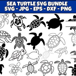 Sea Turtle svg Bundle, Tortoise svg, Sea Turtle Clipart, Turtle Cricut File, Sea Turtle Cut File, Floral Turtle svg, Instant Download