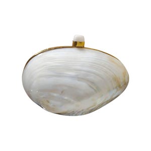 Handcrafted Shell clutch Mother of Pearl Clutch | Gold Embellished Indian Bridal Purse | Designer Wedding Clutch Bag Party Clutch for Women