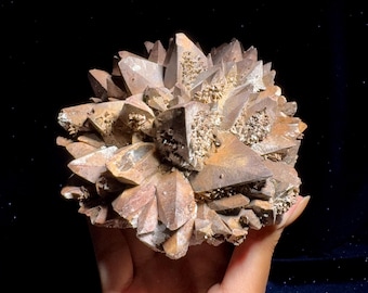 Brun hundtandskalcit med gips-selenit - drakfjäll, jord- och rotjordningsaktivering, skydd, drakenergi