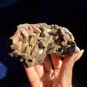 Écailles de dragon Calcite brune à dents de chien, activation de l'ancrage à la terre et aux racines, protection, énergie du dragon
