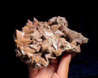 Brun hundtandskalcit - Drakfjäll, jord- och rotjordningsaktivering, skydd, drakeenergi