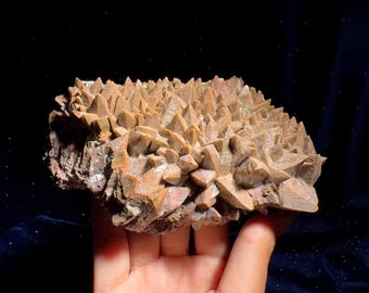 Dendritisk brun hundtandskalcit - jord- och rotjordningsaktivering, drakeenergi, drakefjällskalcit