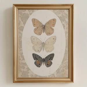 Viktorianische Schmetterlingssammlung Kunstdruck - Vintage Naturforscher Wanddekoration, rustikale Insektenkarte, druckbare Entomologie-Illustration 221