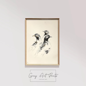 Rustic Bird Sketch Wall Art Printable - Vintage Style Bird Illustration, Minimalist Nature Decor, Ink Drawing Digital Download 232