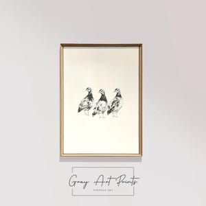 Ink Drawing of Quail Trio - Printable Rustic Bird Art, Cottagecore Farmhouse Decor, Minimal Wildlife Wall Illustration 228